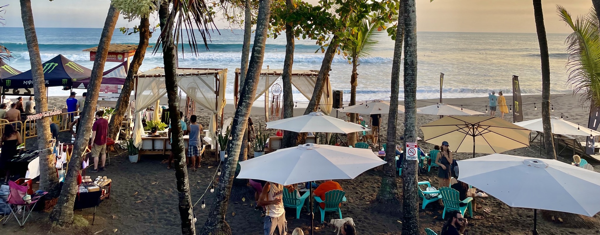 Local Restaurants and Bars